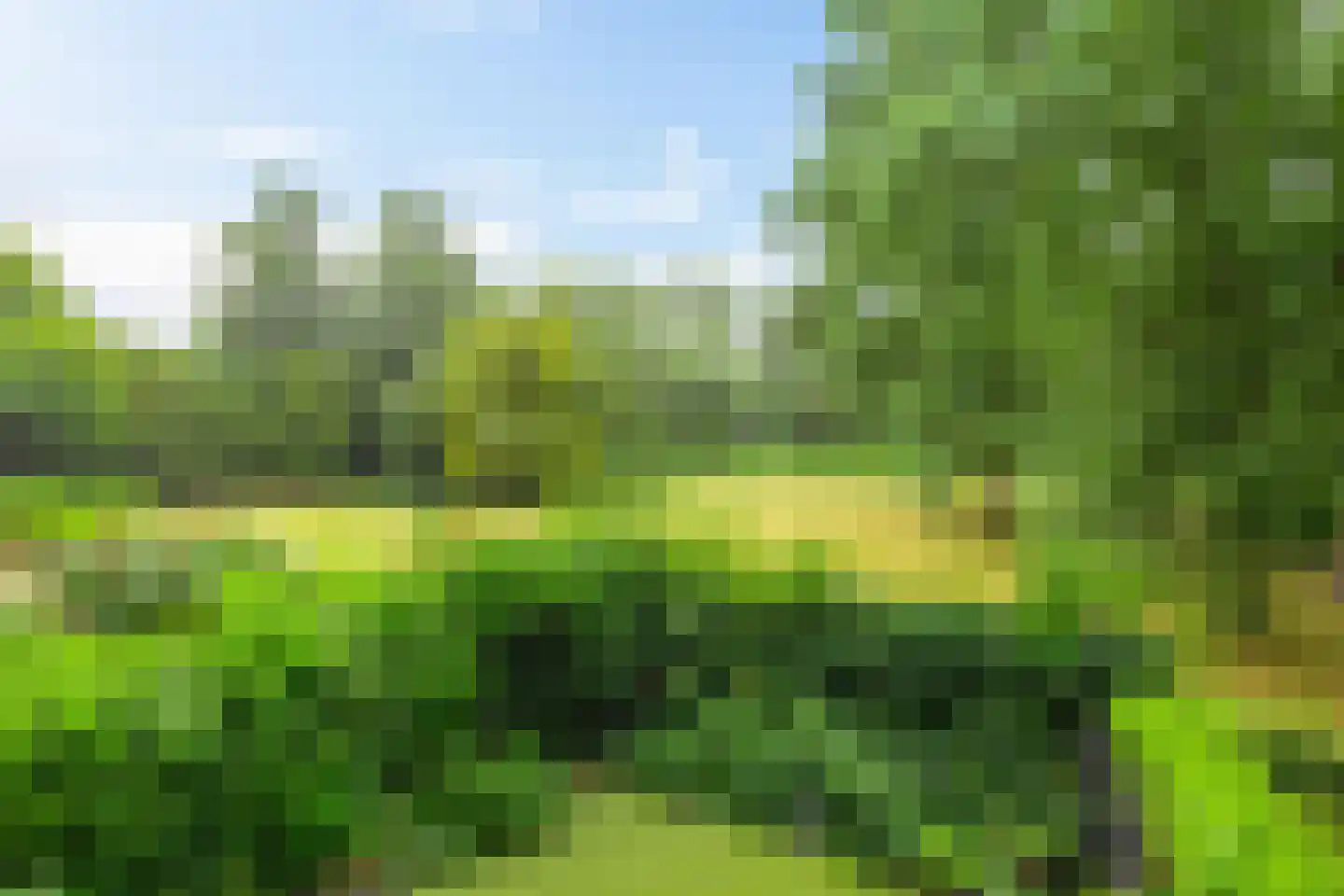 Top Naefflaan 74 Groningen thumbnail 4