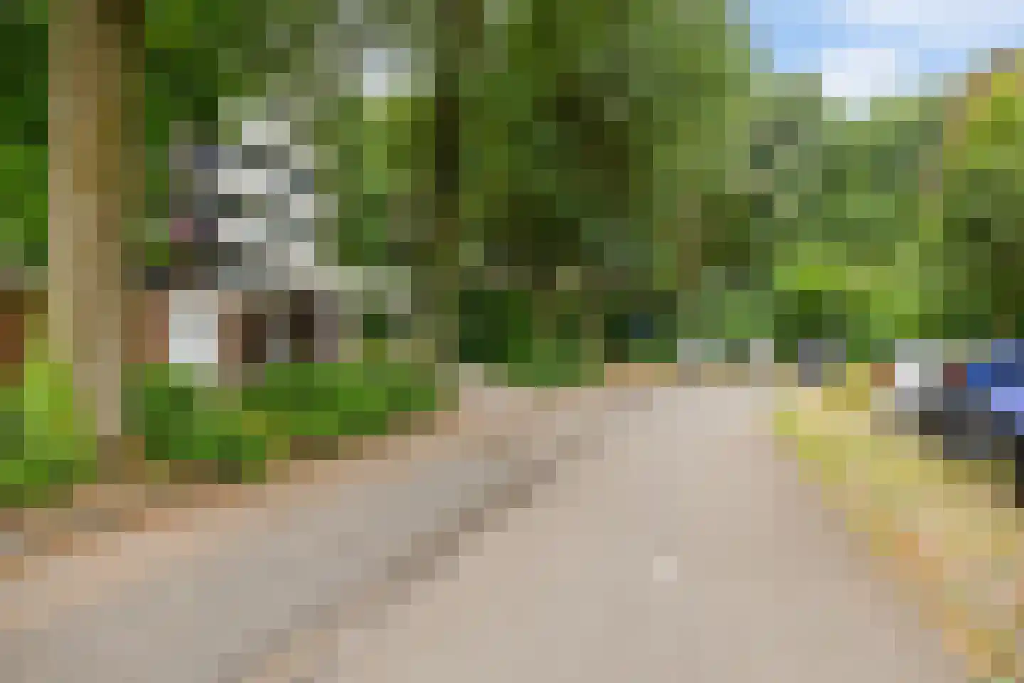 Top Naefflaan 74 Groningen thumbnail 6