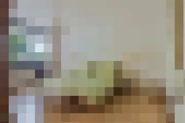 Top Naefflaan 75 Groningen thumbnail 12