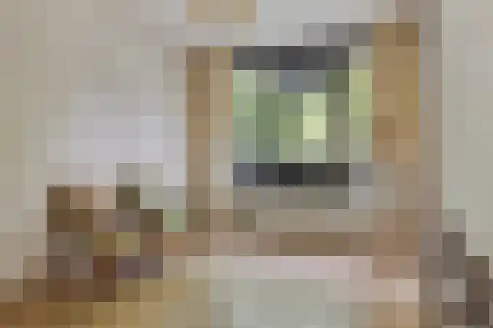 Top Naefflaan 75 Groningen thumbnail 15