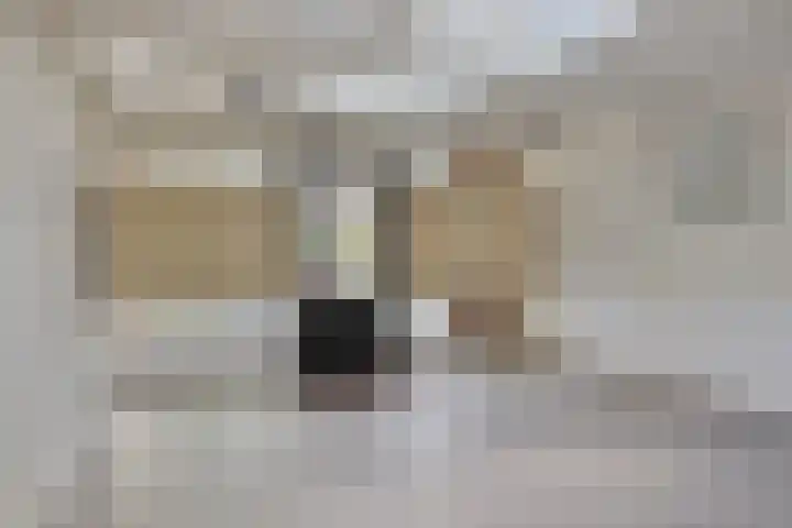 Top Naefflaan 75 Groningen thumbnail 21