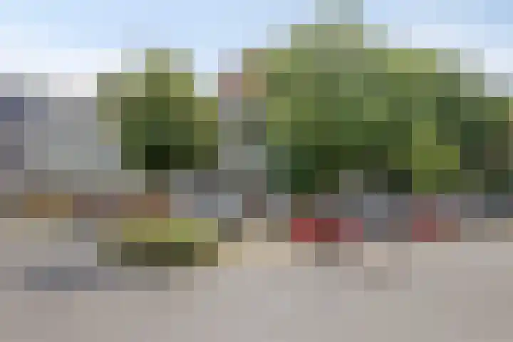 Top Naefflaan 75 Groningen thumbnail 23