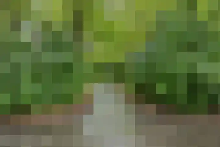 Top Naefflaan 75 Groningen thumbnail 26