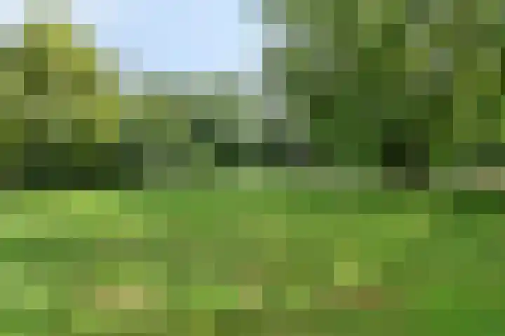 Top Naefflaan 75 Groningen thumbnail 27