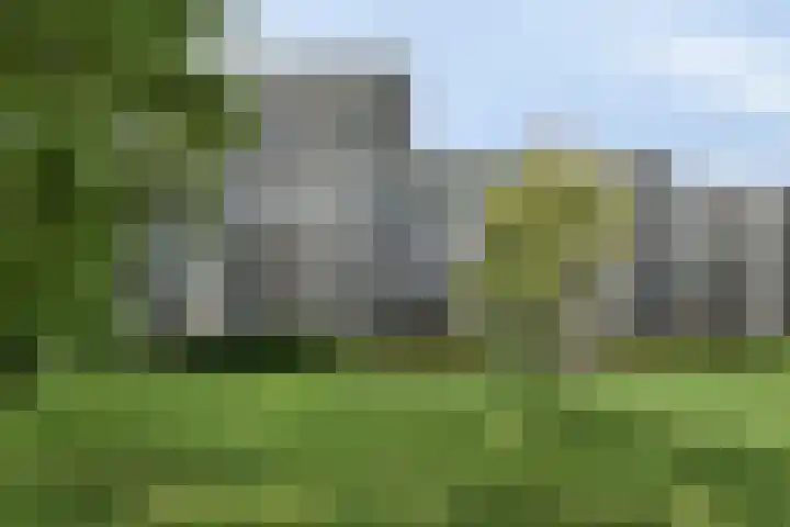 Top Naefflaan 75 Groningen thumbnail 33