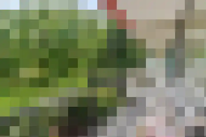 Top Naefflaan 75 Groningen thumbnail 4