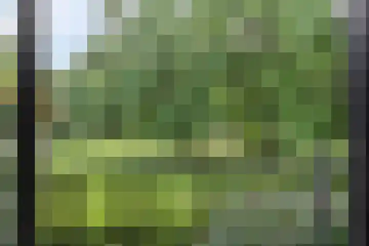 Top Naefflaan 75 Groningen thumbnail 9