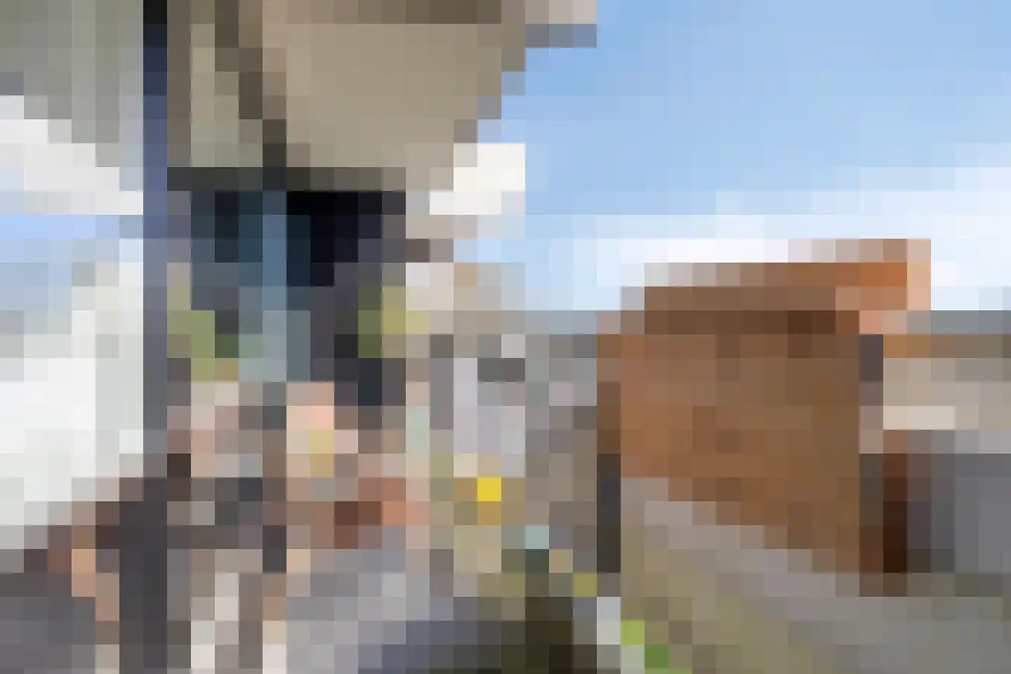 Top Naefflaan 87 Groningen thumbnail 18