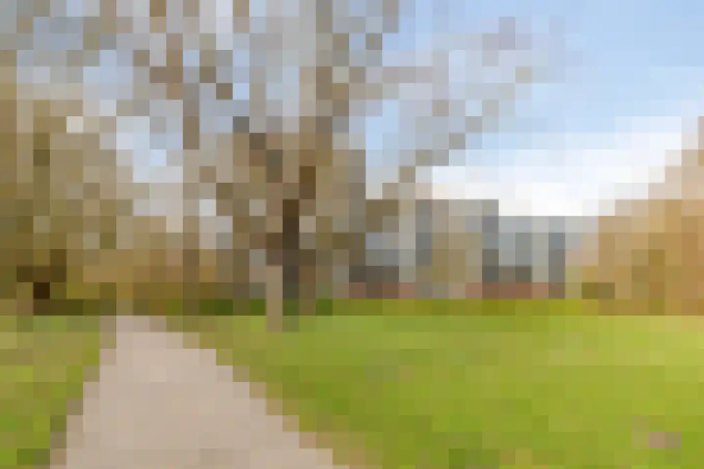Top Naefflaan 87 Groningen thumbnail 41