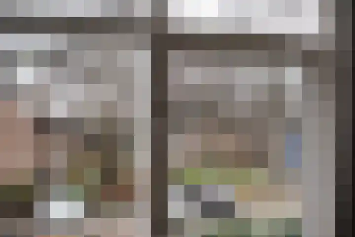 Top Naefflaan 9 Haarlem thumbnail 20
