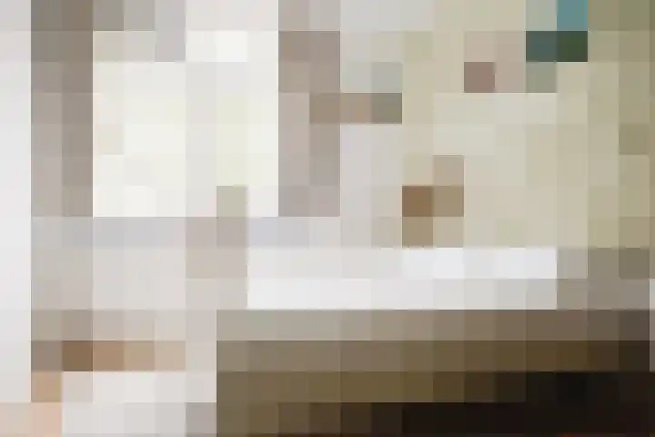 Top Naefflaan 9 Haarlem thumbnail 24