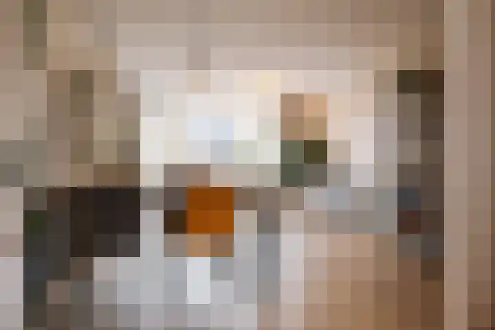 Top Naefflaan 9 Haarlem thumbnail 6