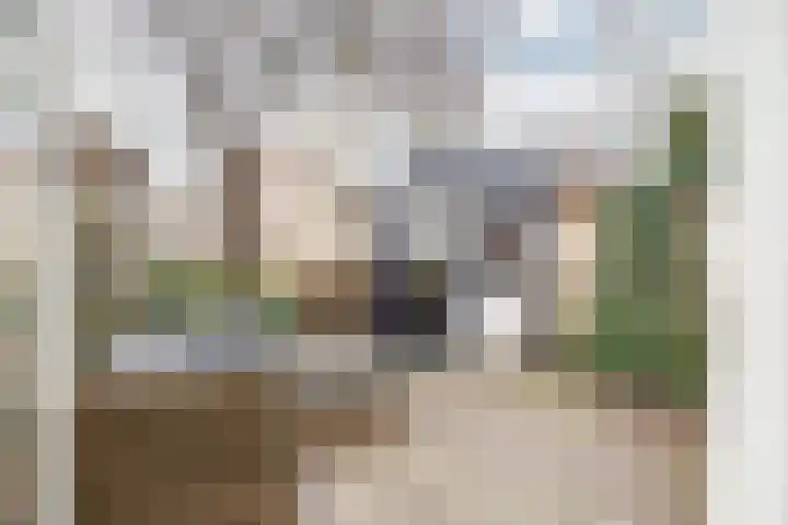 Top Naefflaan 9 Haarlem thumbnail 8