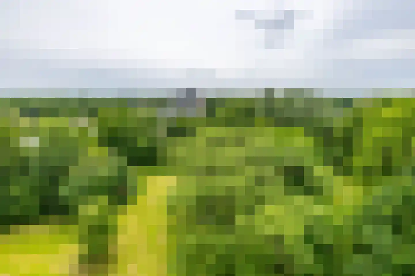 Top Naefflaan 94 Groningen thumbnail 30