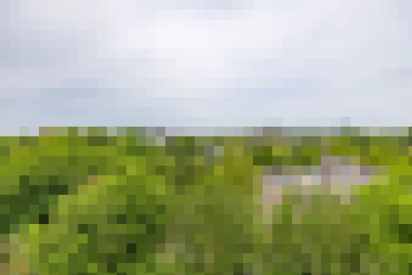 Top Naefflaan 94 Groningen thumbnail 33