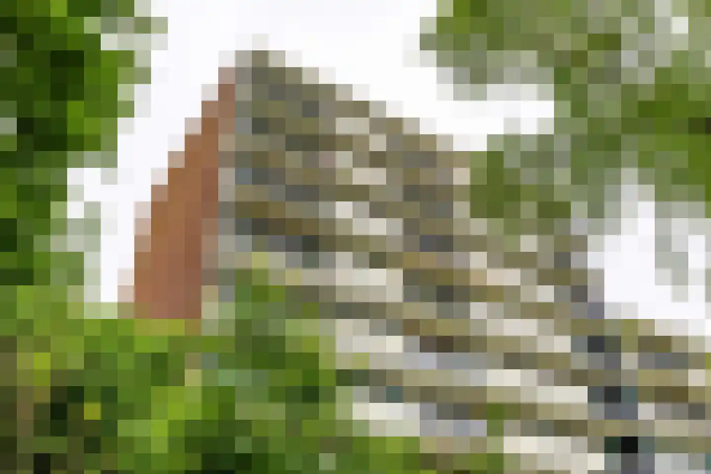 Top Naefflaan 94 Groningen thumbnail 36
