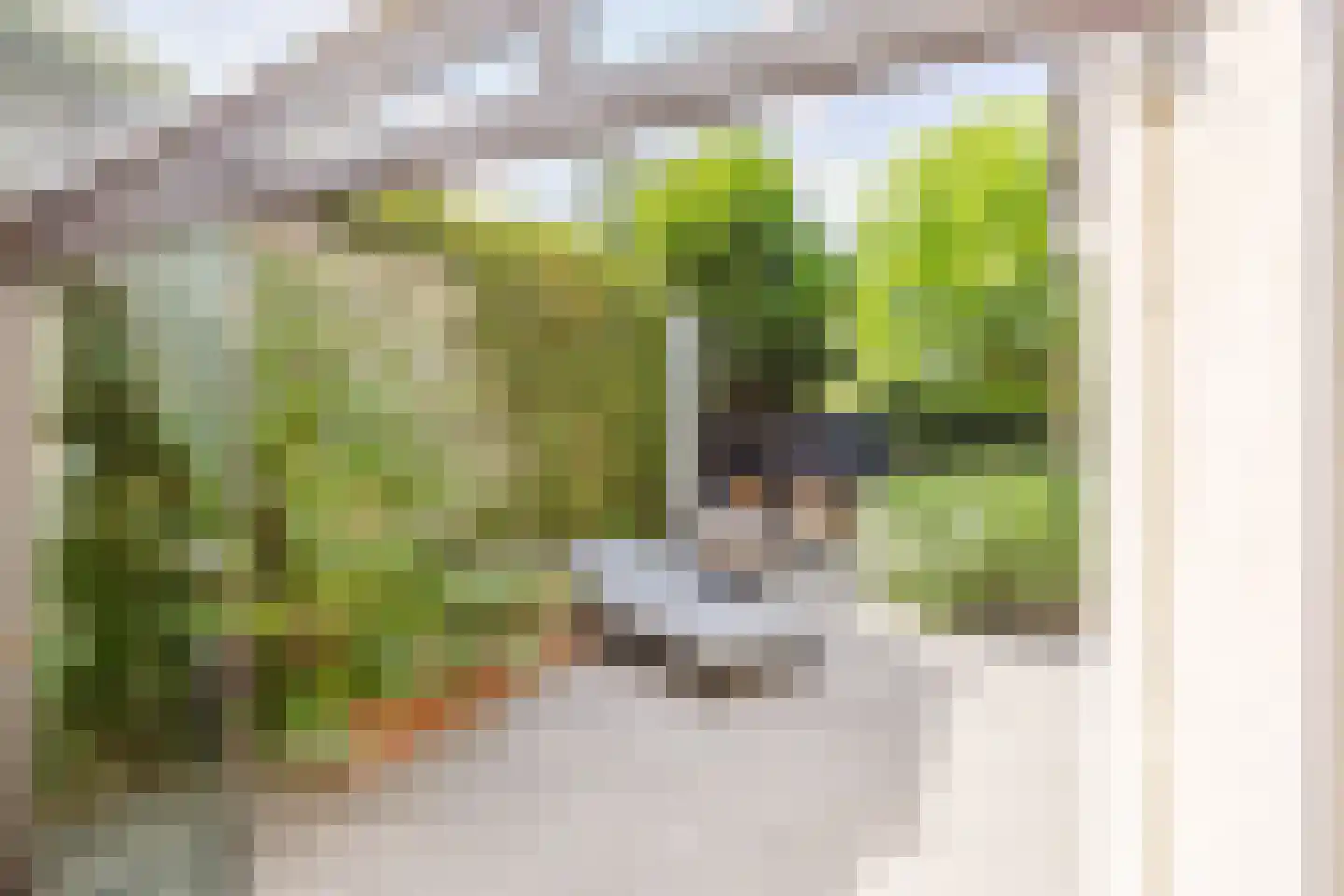 Top Naeffstraat 1 Gorinchem thumbnail 16