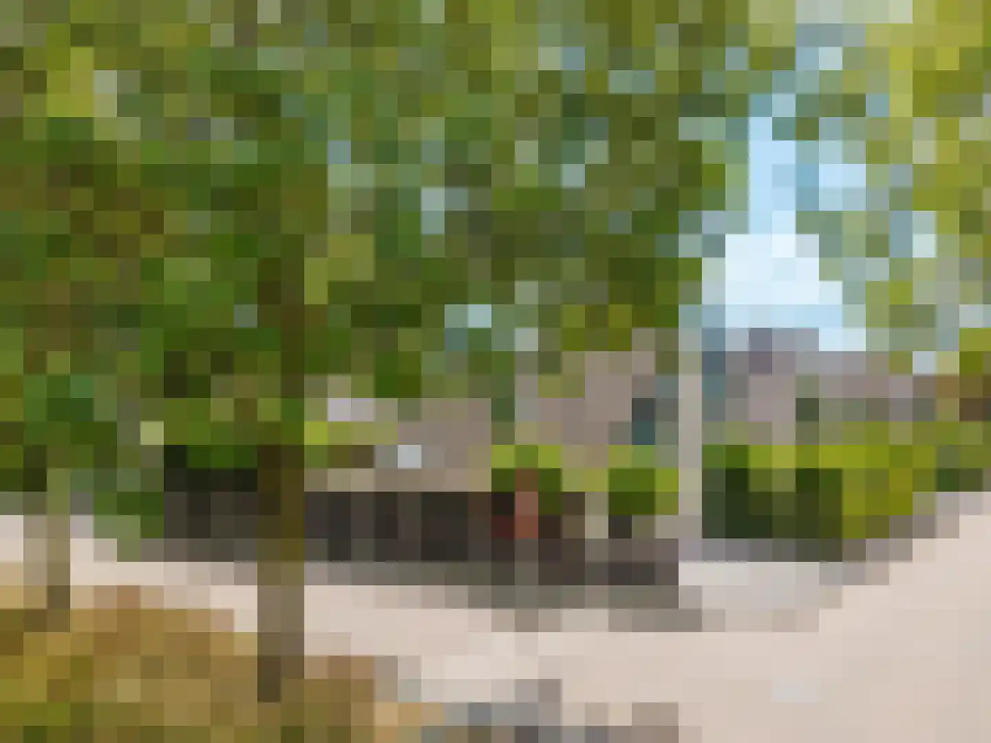 Top Naeffstraat 1 Gorinchem thumbnail 38