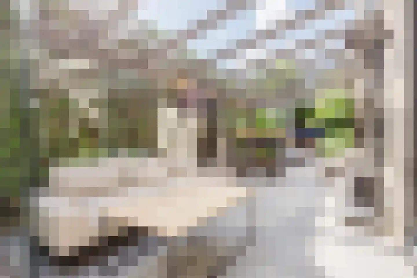 Top Naeffstraat 1 Gorinchem thumbnail 4