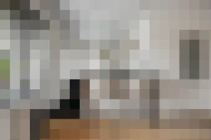 Top Naeffstraat 22 Spijkenisse thumbnail 17