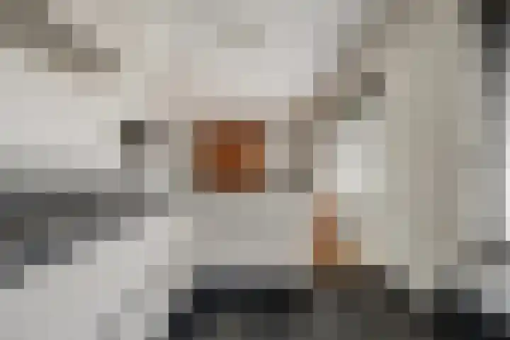 Top Naeffstraat 22 Spijkenisse thumbnail 18