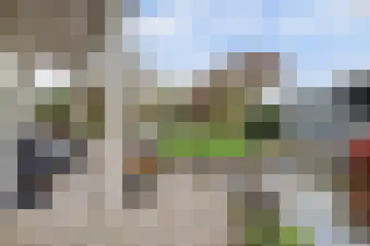 Top Naeffstraat 22 Spijkenisse thumbnail 21