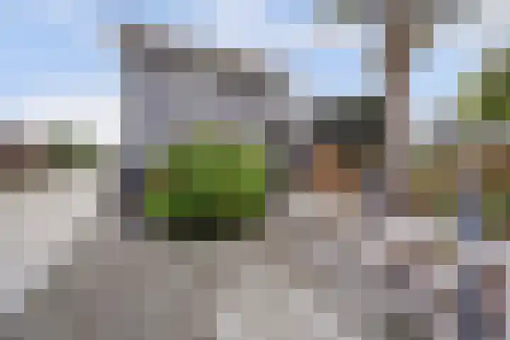 Top Naeffstraat 22 Spijkenisse thumbnail 24