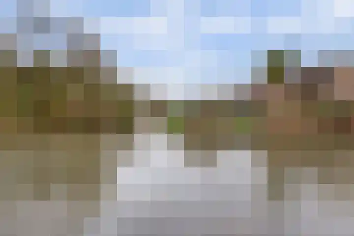 Top Naeffstraat 22 Spijkenisse thumbnail 26