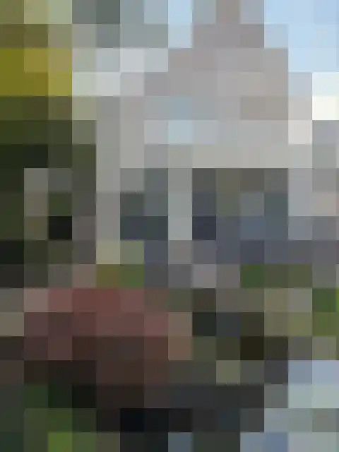 Top Naeffstraat 22 Spijkenisse thumbnail 30