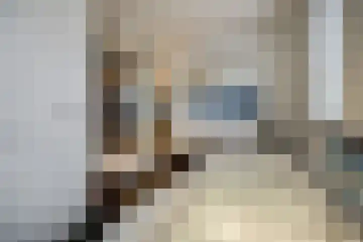 Top Naeffstraat 22 Spijkenisse thumbnail 35