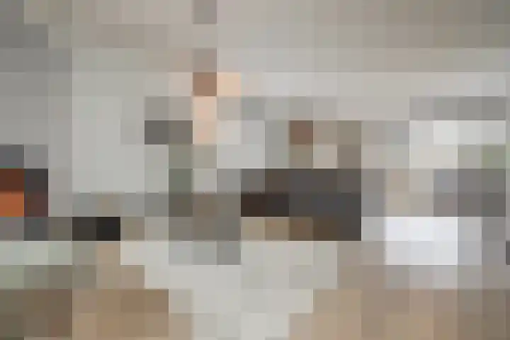 Top Naeffstraat 22 Spijkenisse thumbnail 5