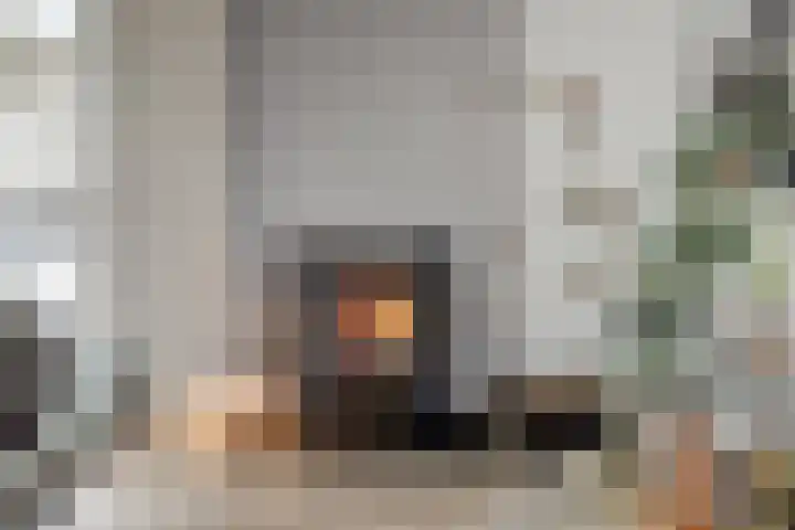 Top Naeffstraat 22 Spijkenisse thumbnail 8
