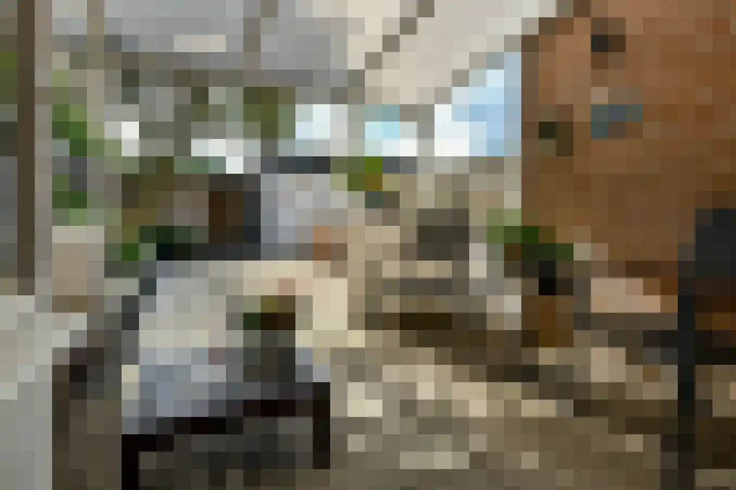 Top Naeffstraat 26 Arnhem thumbnail 34