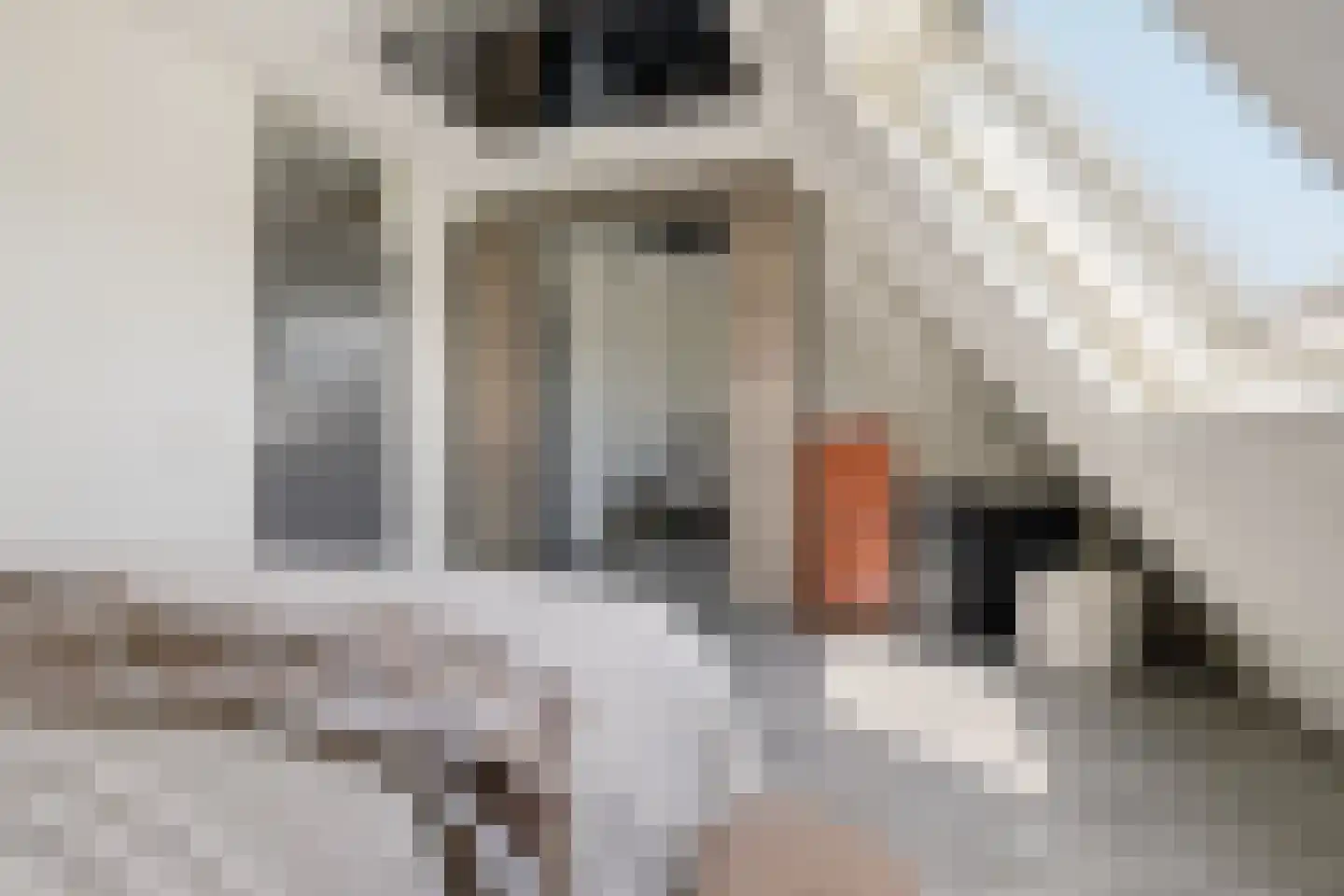 Top Naeffstraat 28 Zaandam thumbnail 19
