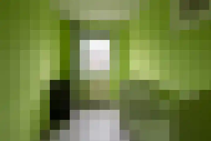 Top Naeffstraat 3 Zaandam thumbnail 15