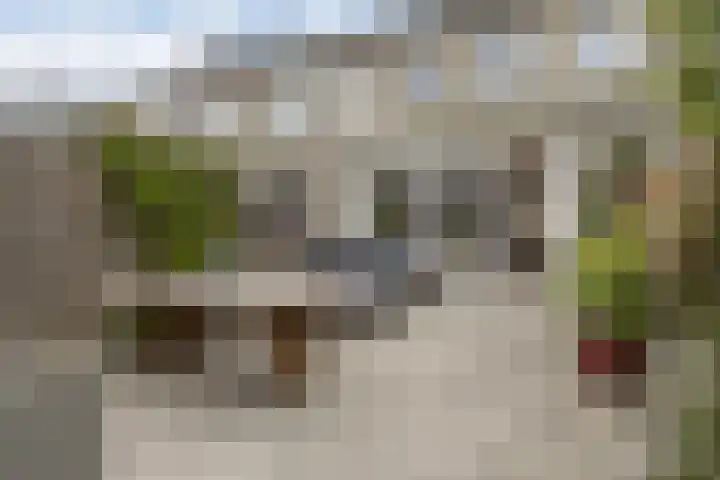 Top Naeffstraat 3 Zaandam thumbnail 25