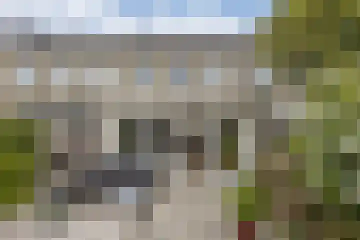 Top Naeffstraat 3 Zaandam thumbnail 26