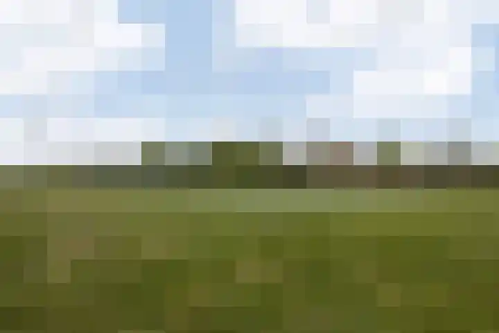 Top Naeffstraat 3 Zaandam thumbnail 31
