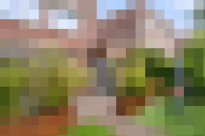 Top Naeffstraat 7 Wageningen thumbnail 10