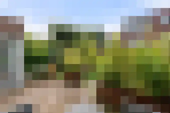 Top Naeffstraat 7 Wageningen thumbnail 13