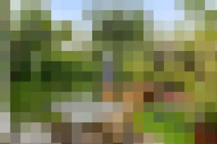 Top Naeffstraat 7 Wageningen thumbnail 14
