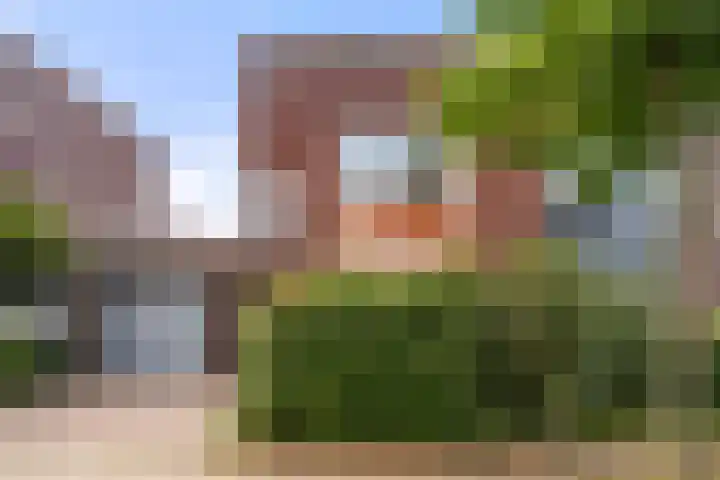 Top Naeffstraat 7 Wageningen thumbnail 7