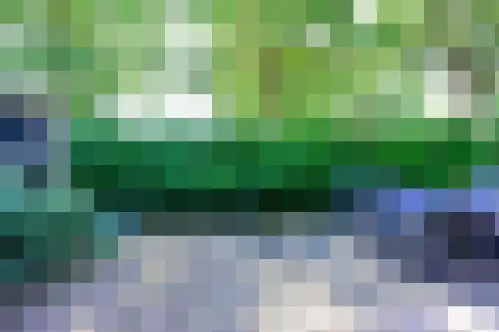 Topaas 13 Mijdrecht thumbnail 11