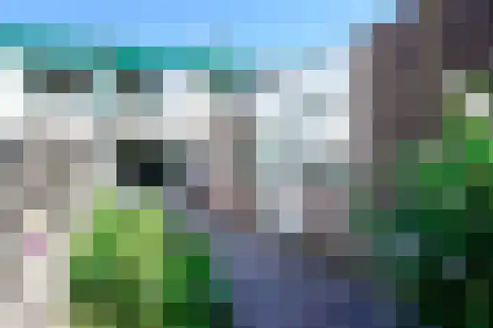 Topaas 13 Mijdrecht thumbnail 15