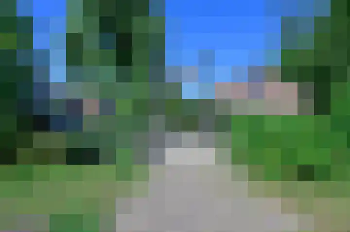 Topaas 13 Mijdrecht thumbnail 26