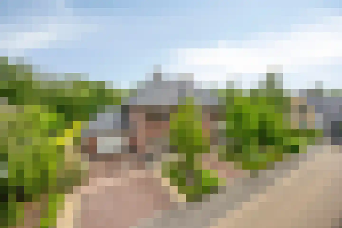 Topaas 2 in Drachten