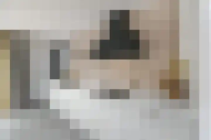 Topaas 2 a Drachten thumbnail 13