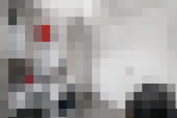 Topaas 2 a Drachten thumbnail 16