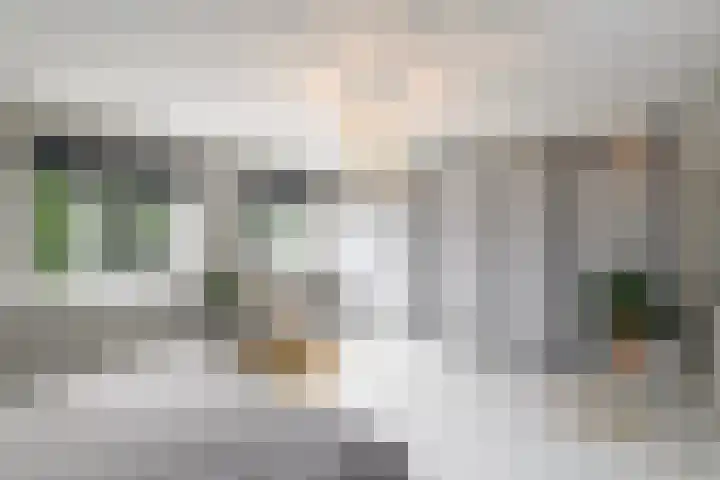 Topaas 2 a Drachten thumbnail 22