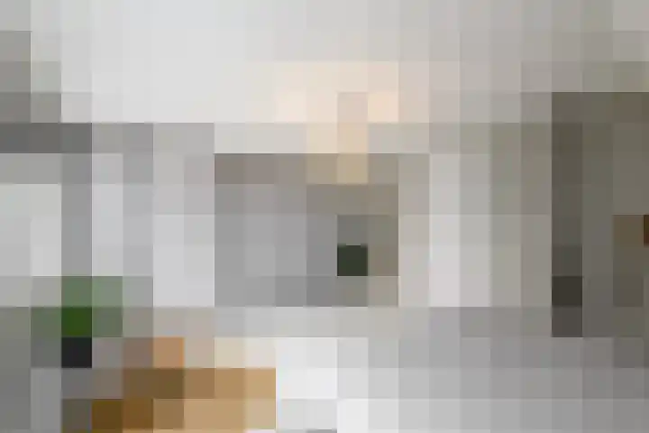 Topaas 2 a Drachten thumbnail 23